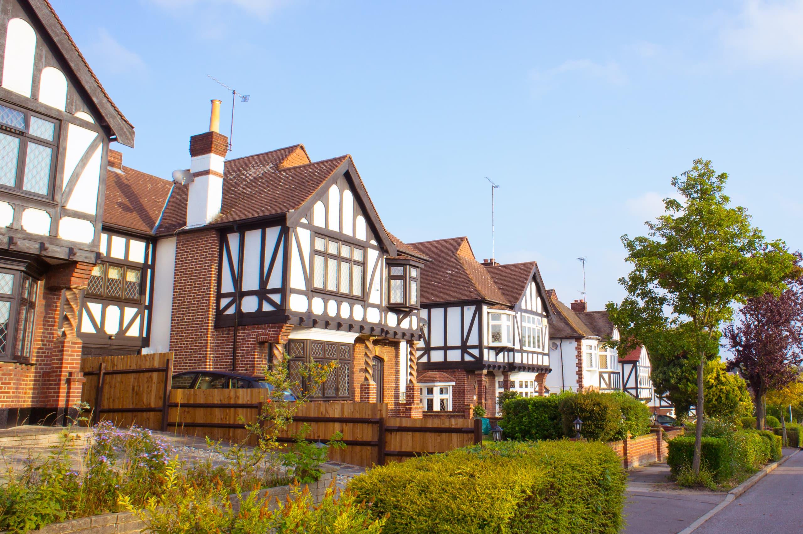 RICS surveyor inspecting Croydon property
